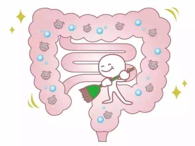 其實古人早就意識到了清理腸道的重要性,東晉醫藥學家葛洪曾曰: