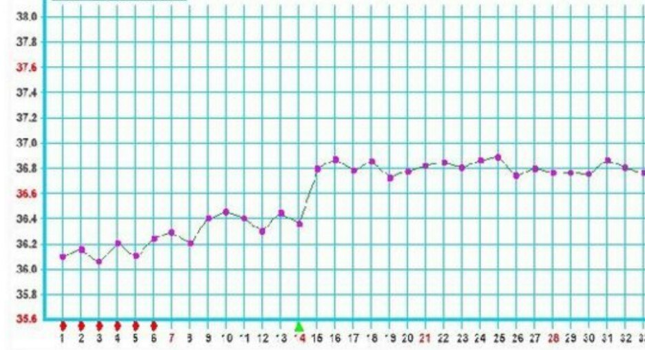 女性基础体温测定的方法及重要意义