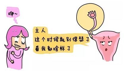暂无