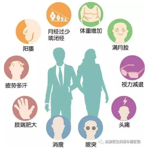 人体主要有五大腺体,主管着不同的内分泌领域,调节人体的生理功能