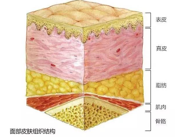 圖文圖片