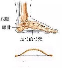 脚后跟长了骨刺怎么办 骨质增生 骨质增生 脚后跟长了骨刺怎么办 骨质增生 骨质增生
