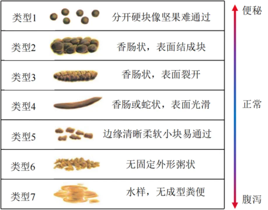 不同的大便预示不同的疾病 - 好大夫在线
