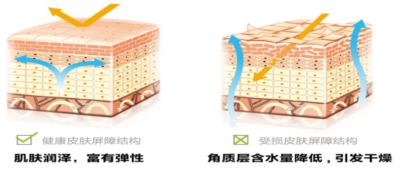 圖文圖片