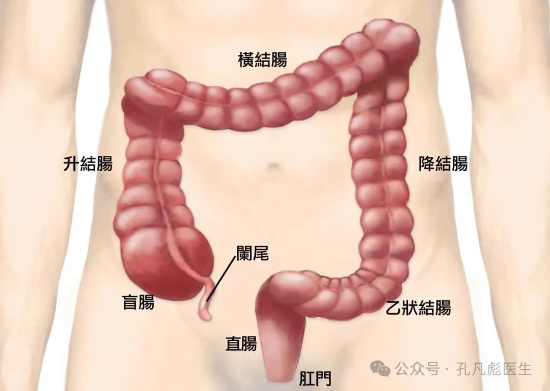 圖文圖片