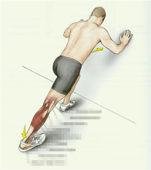 在前适当弯曲,伤腿在后绷直,脚跟紧贴地面,体会小腿后面的肌肉拉伸感
