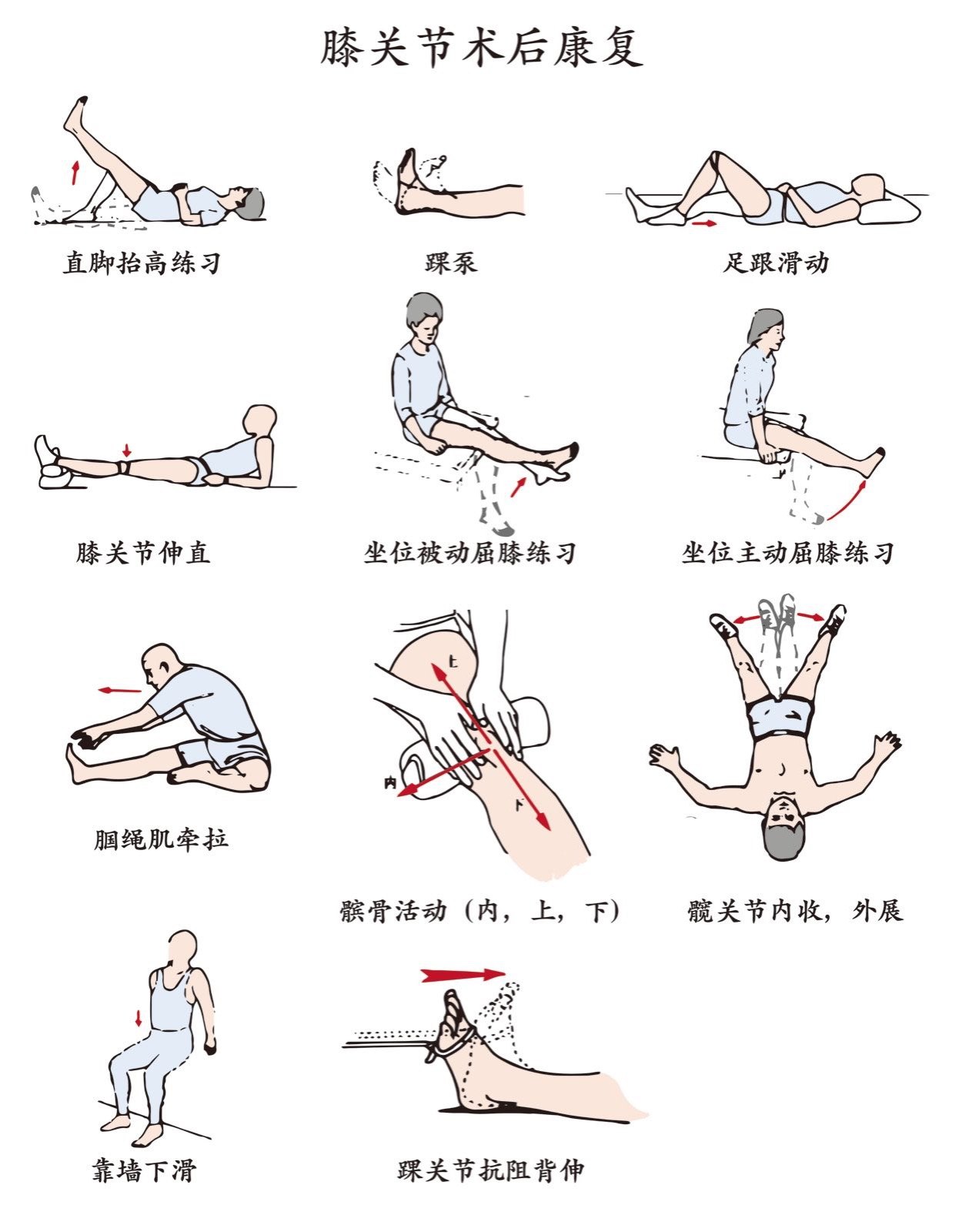膝关节术后康复锻炼示意图(手绘版) 