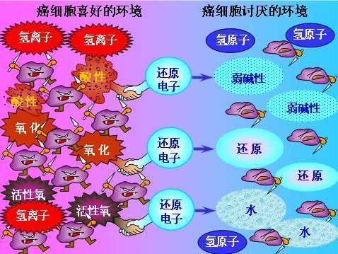 氧自由基是人类变老的主要祸根