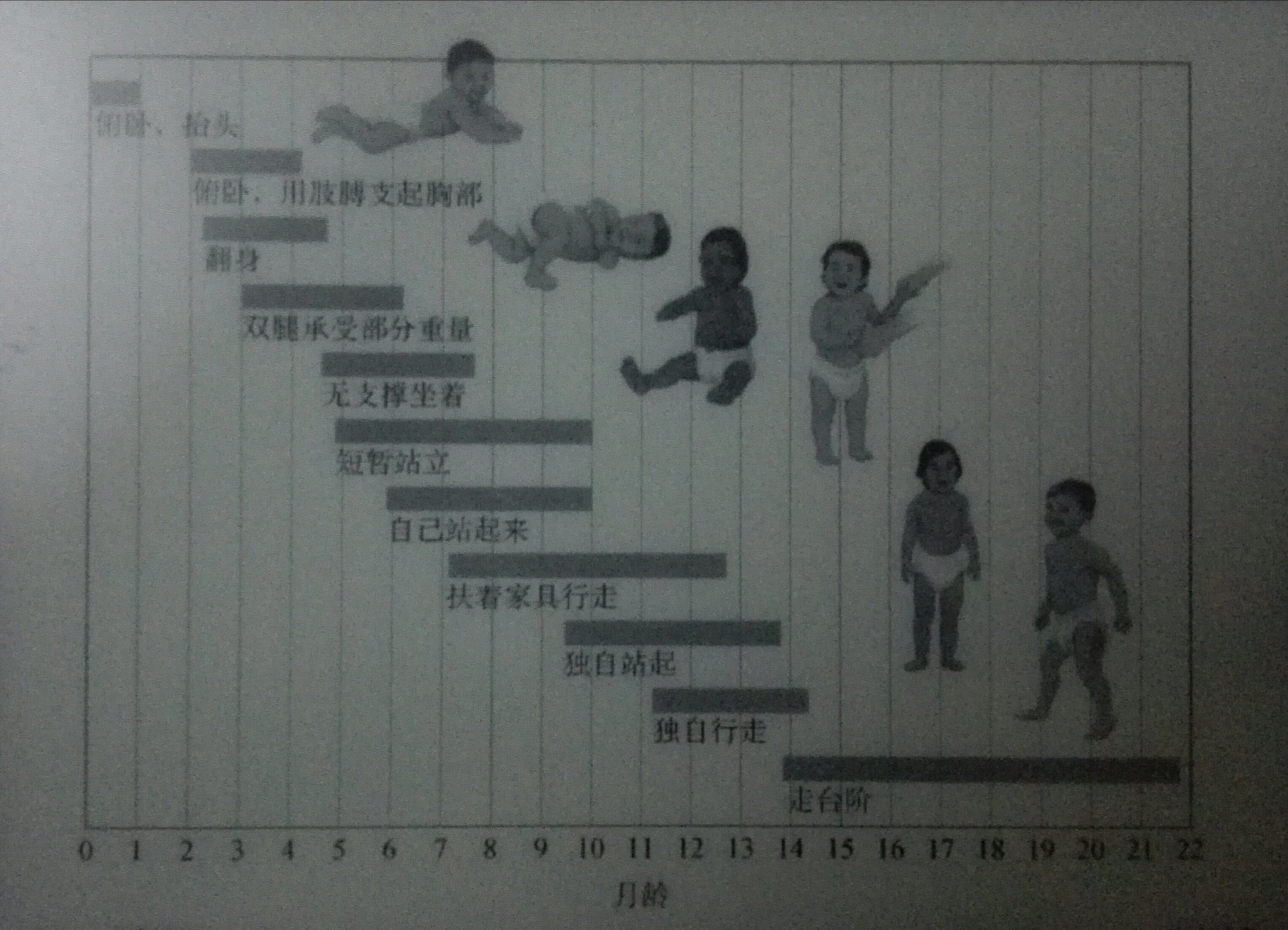 幼兒動作發育順序