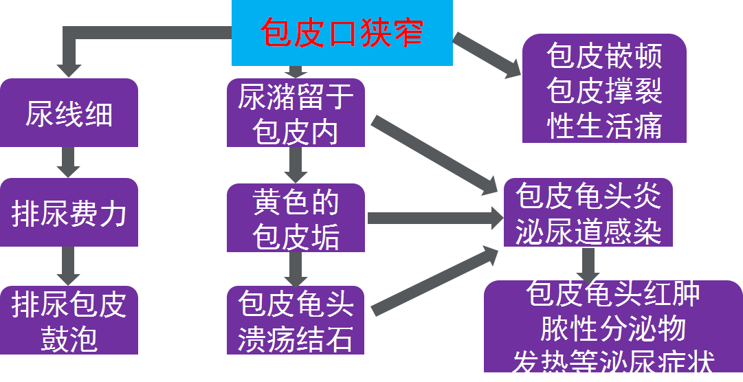 30岁割包茎是不是晚了图片