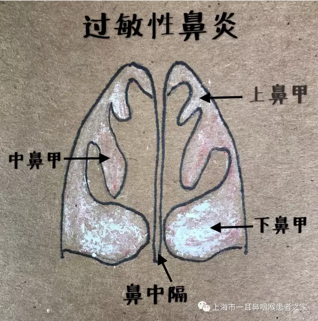 暂无