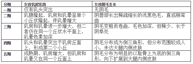 馮曉 女性乳房發育標準青春期的女孩也可以對照看看自己處於哪一期