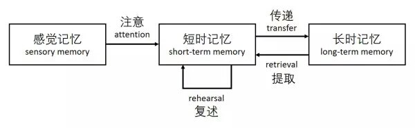 2,部分人提出工作记忆取代短时记忆在模型中的角色.