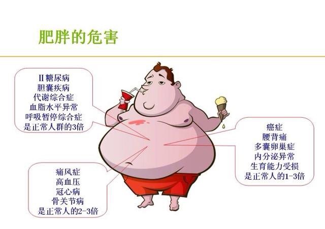 肥胖的危害漫画图片