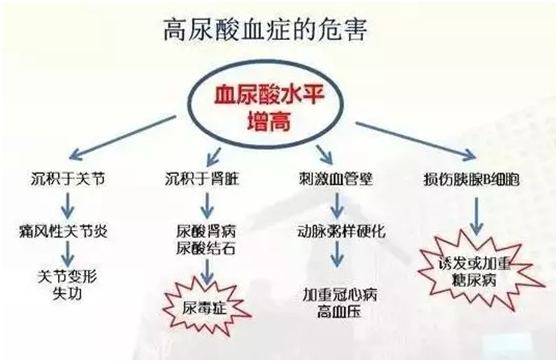 高尿酸血症的危害不容忽视