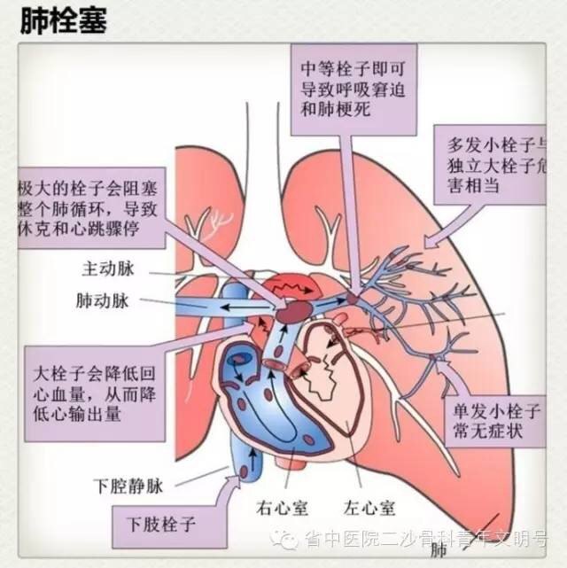 暂无