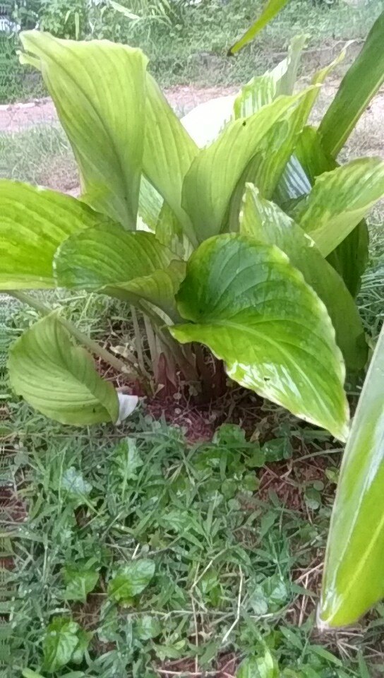 暂无