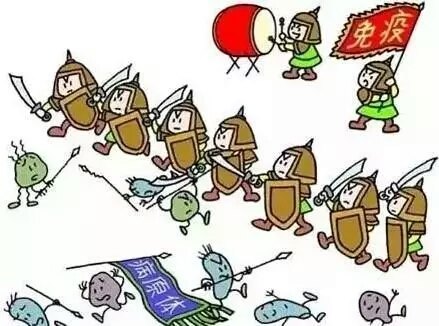 暂无