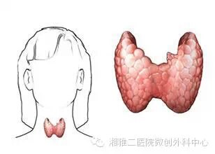 暂无