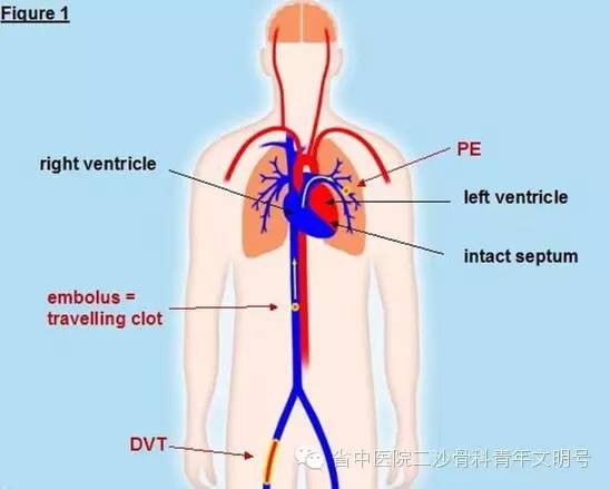 暂无