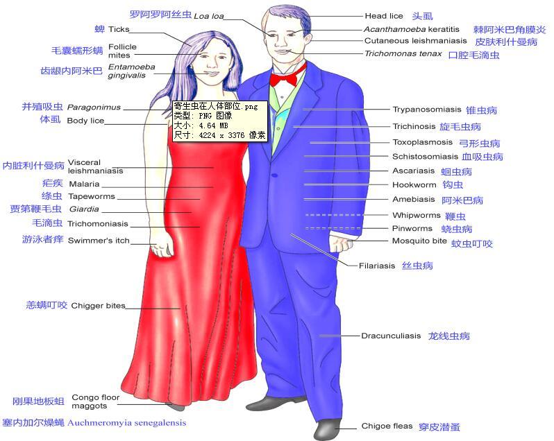 暂无