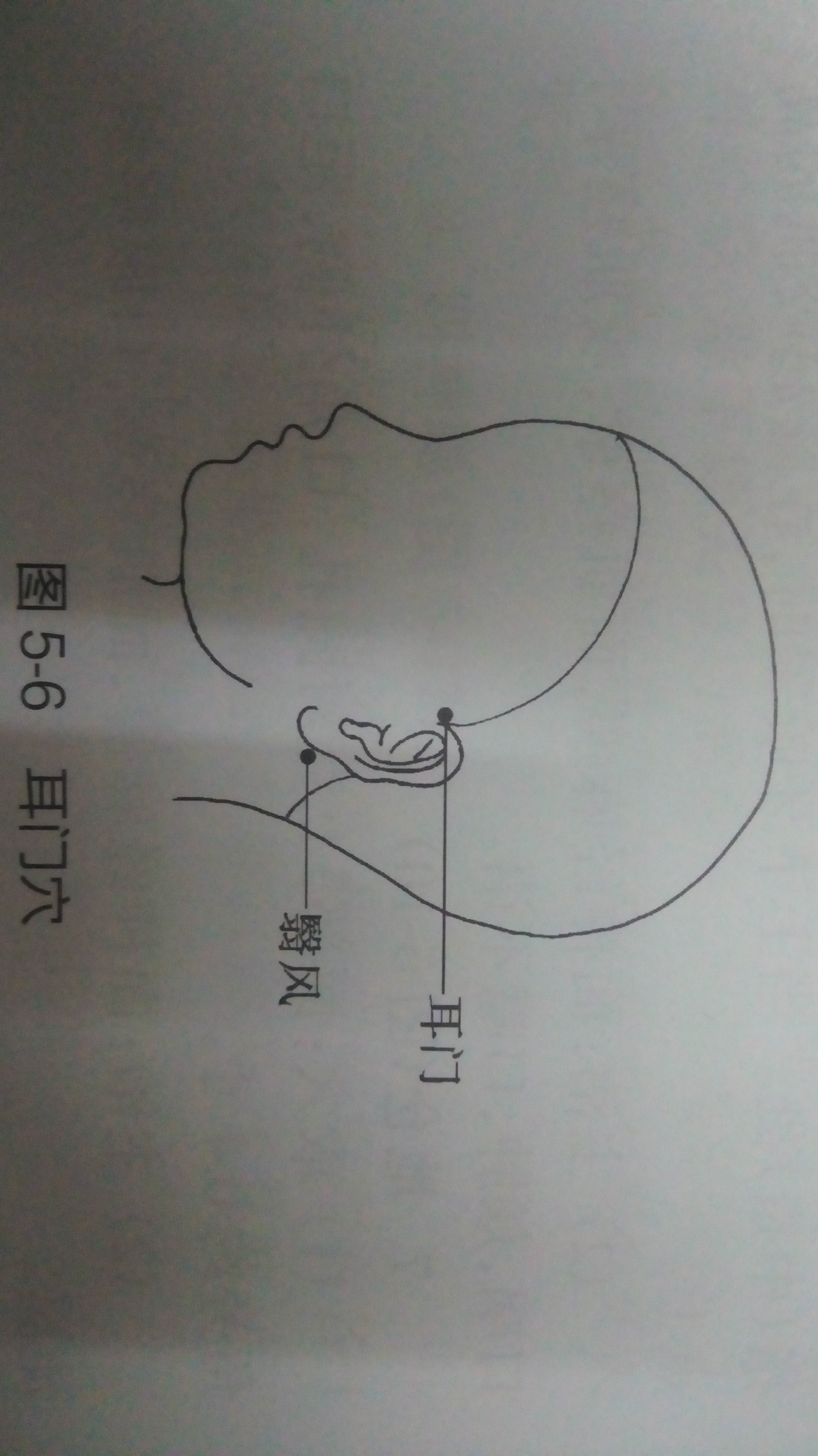 四神聰穴: 一共四個,在百會穴前後左右各1寸的位置以下介紹一些