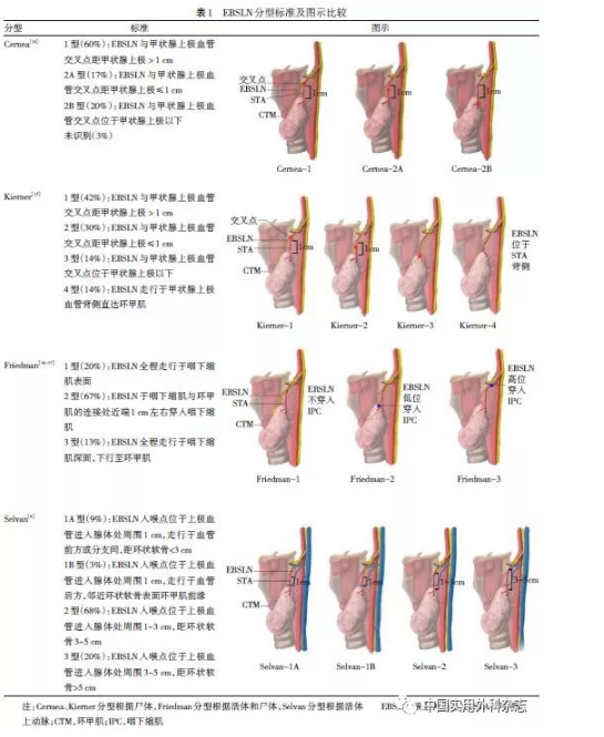 ebsln與甲狀腺上極血管,嚥下縮肌之間存在多種解剖變異,分型方式較多