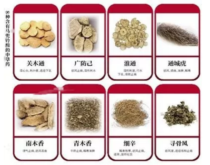 专家:含马兜铃酸中药有明显肾毒性 但致肝癌证据不足. - 好大夫在线