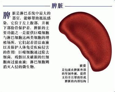 暂无