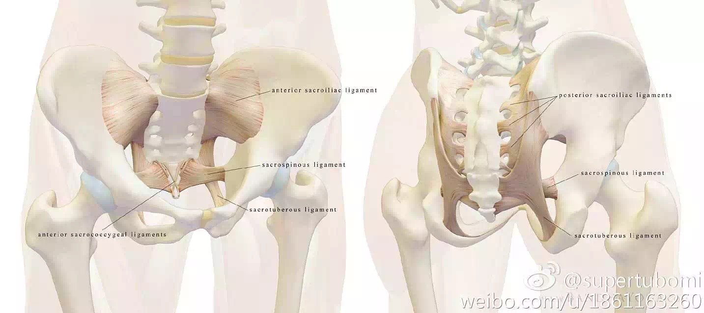 暂无