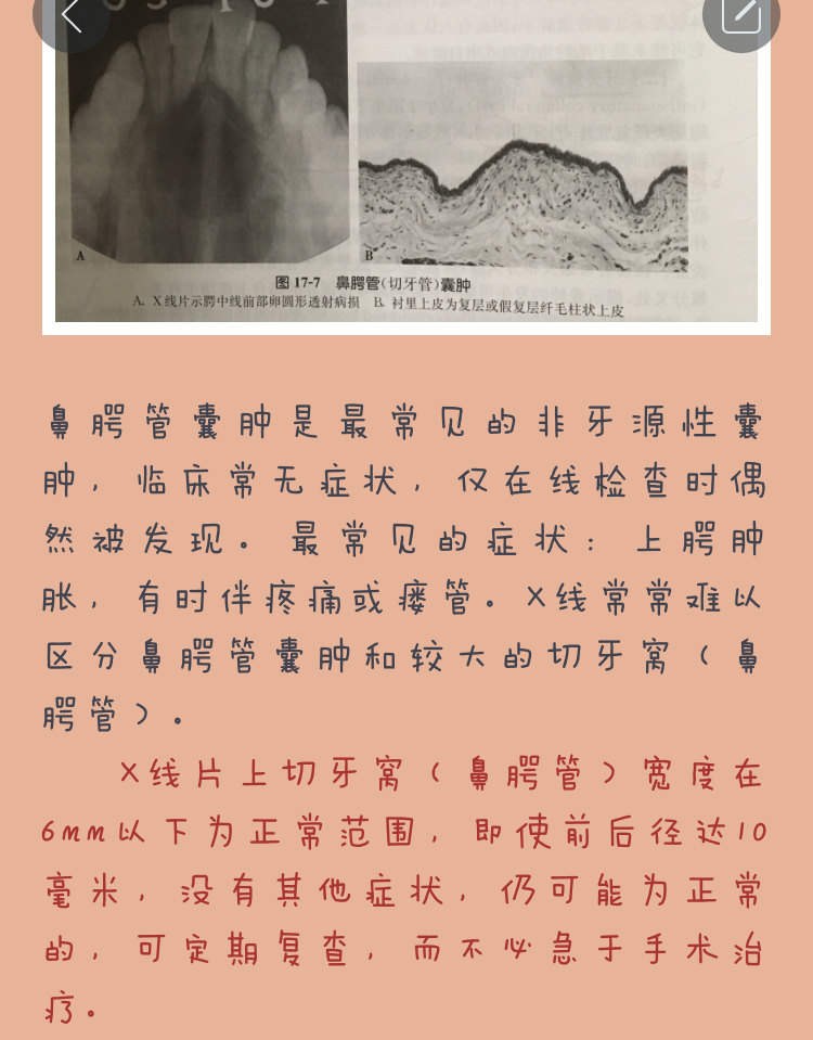 叶医生救我我鼻子下面有个洞