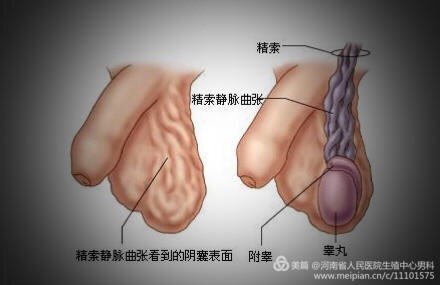 暂无