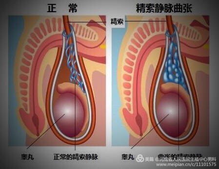 暂无