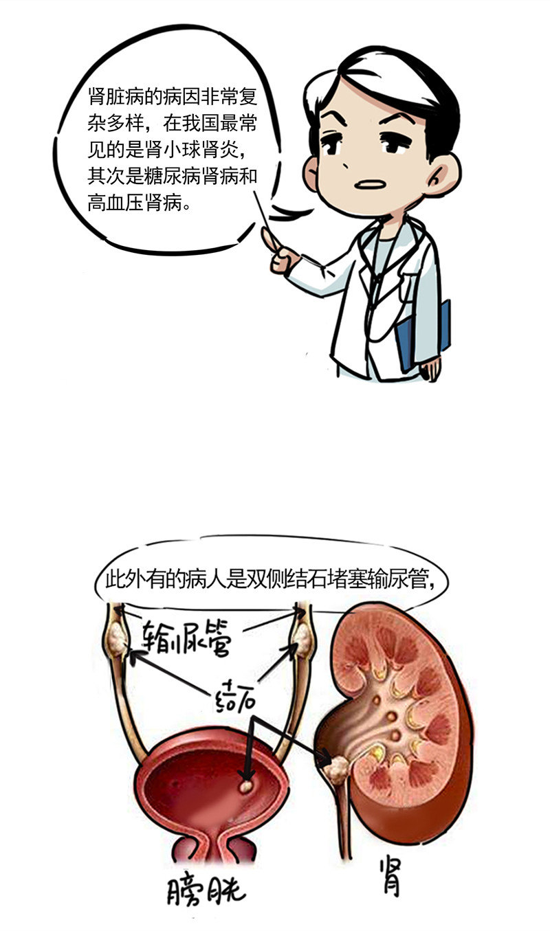 《肾移植,你了解吗?》升级版本 - 好大夫在线