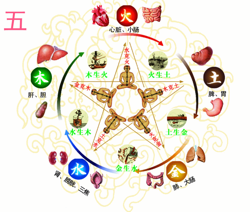 (41)由《唐人街探案2》来看五行养生-春雨医生