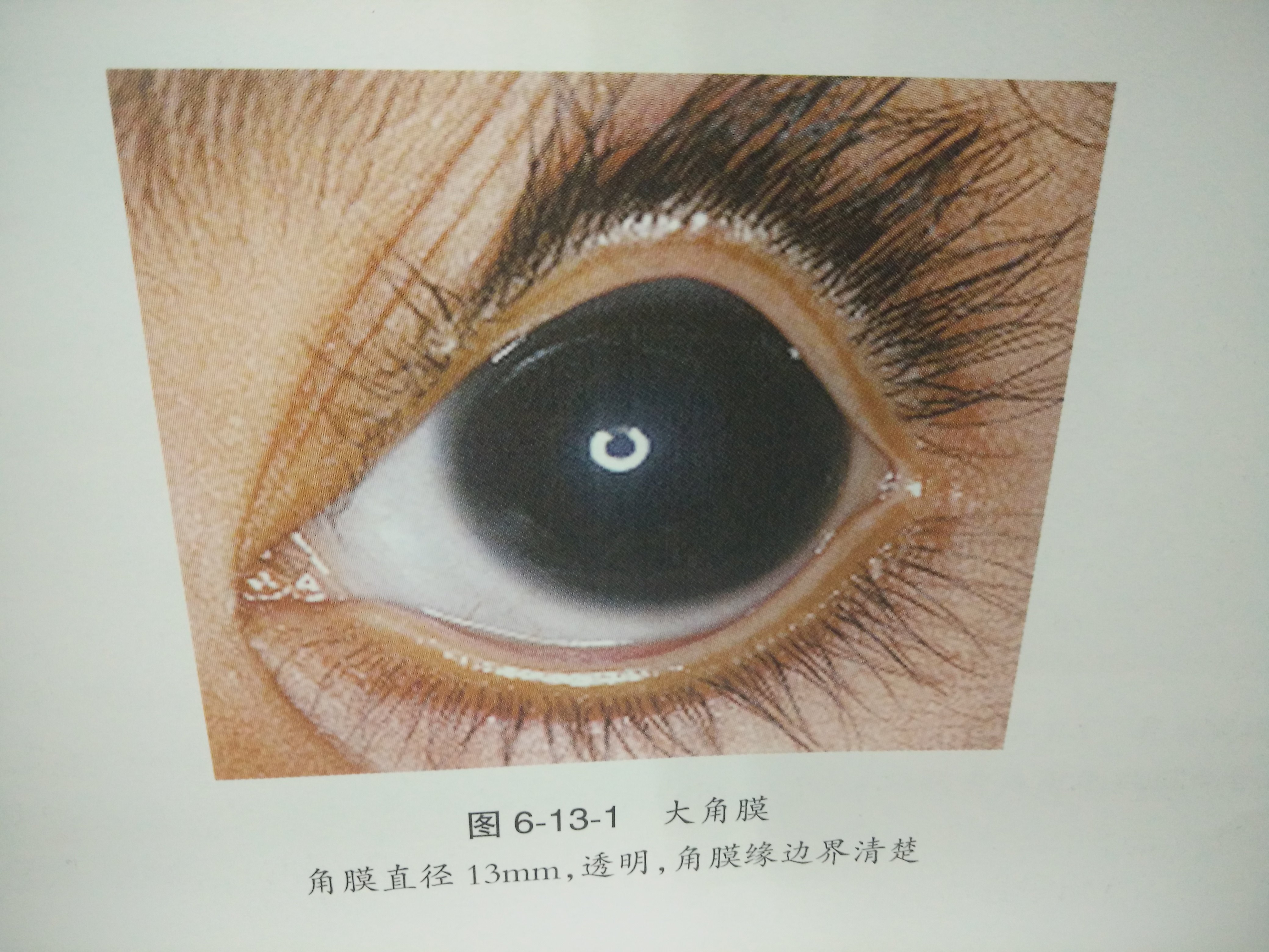暂无