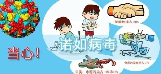 諾如病毒感染性腹瀉預防控制知識