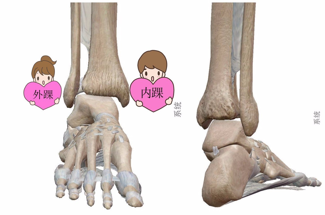 医学科普第一弹:脚踝扭伤怎么办? - 好大夫在线