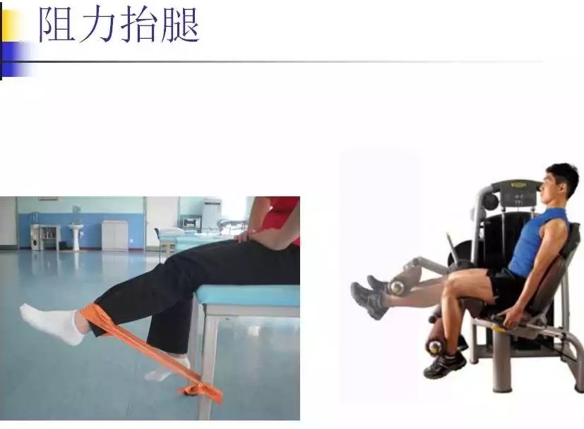 腿部训练动作 下肢图片