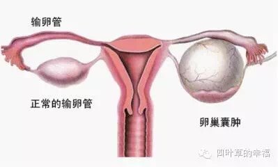 暂无