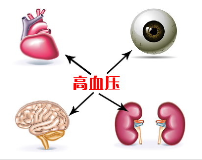 高血压_高血压疾病介绍 - 好大夫在线