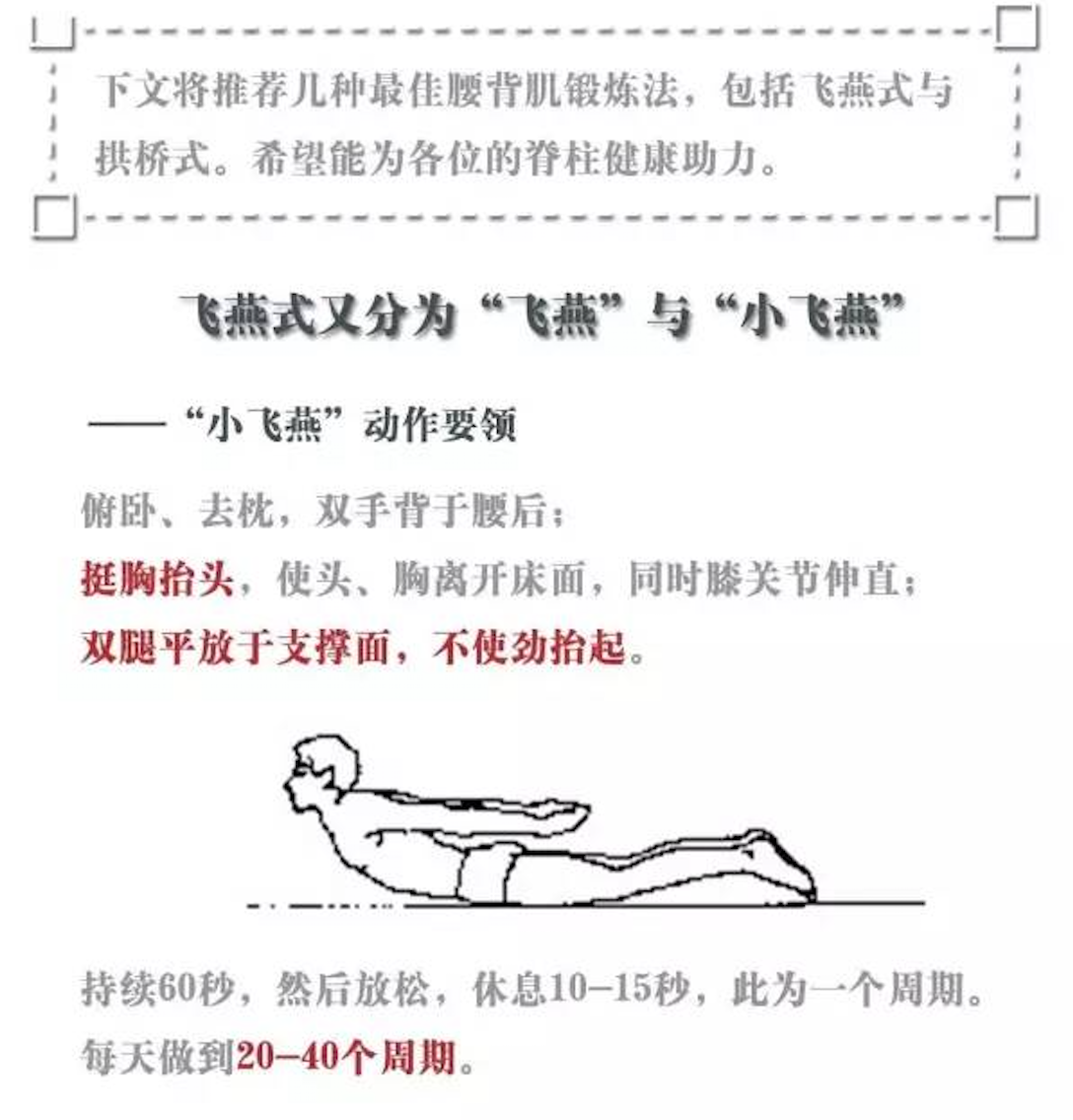腰背肌锻炼指导(飞燕,小飞燕,拱桥五点锻炼法) 