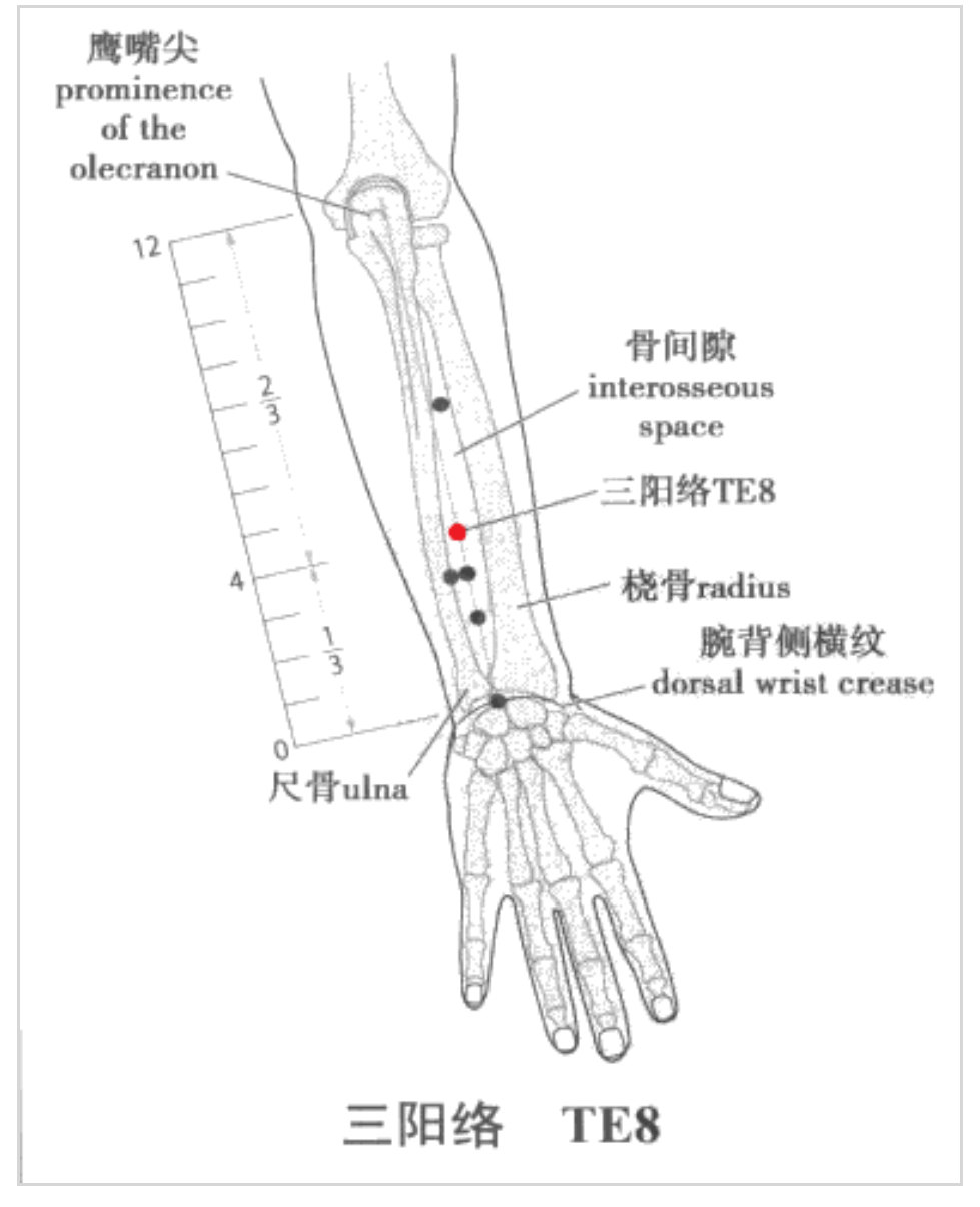 学经络——手少阳三焦经 - 好大夫在线