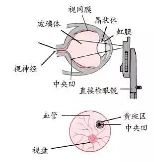 如何正确使用眼底镜