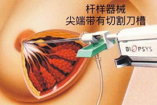 暂无