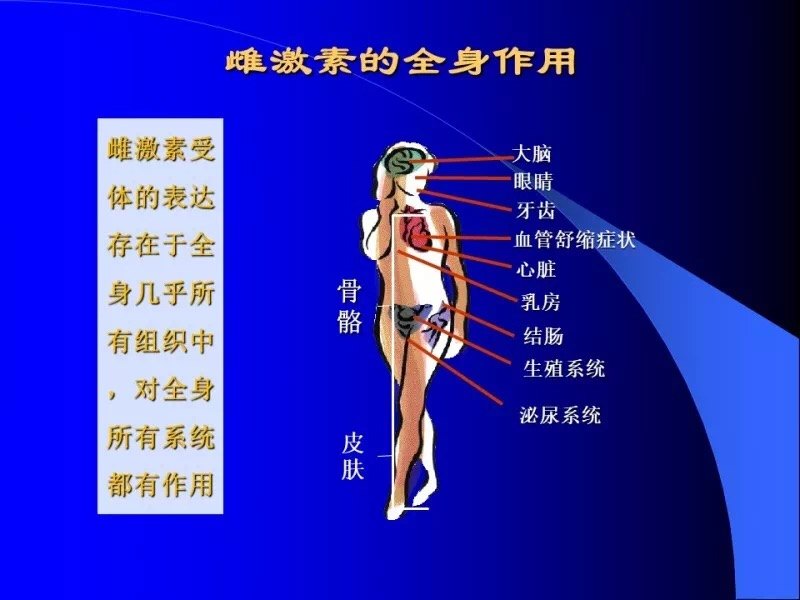 雌激素需要与雌激素受体结合才能产生作用,雌激素受体的表达存在于