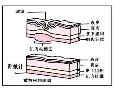 圖文圖片