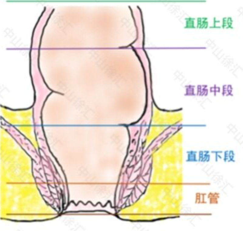 圖文圖片