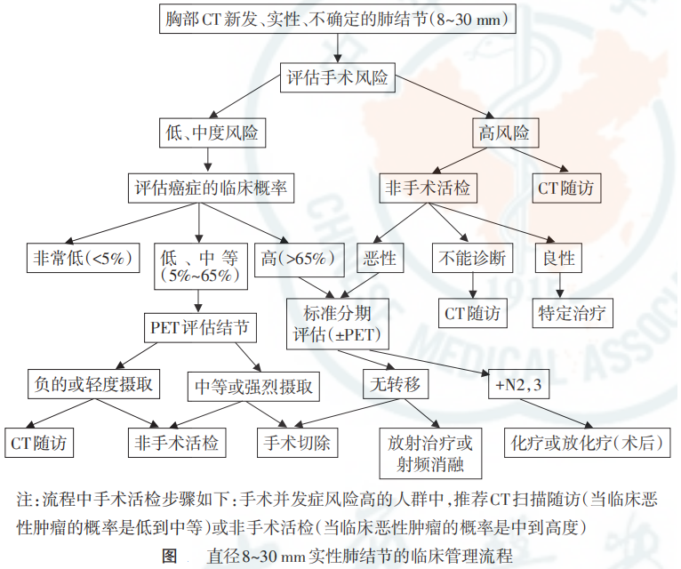 肺结节处置流程.png