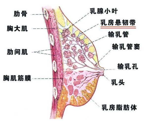 微信图片_20220717181409.jpg